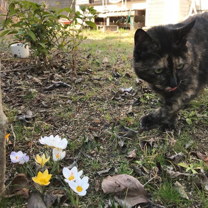 9b5e5637 34a5 4504 8653 d43edab0df65 1520130800831