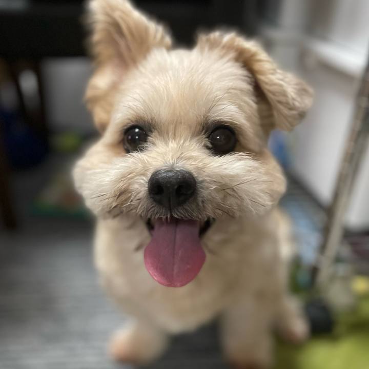 9b5e5bc1 116e 4079 8b43 6fa43e3ce4c5 1673062834718