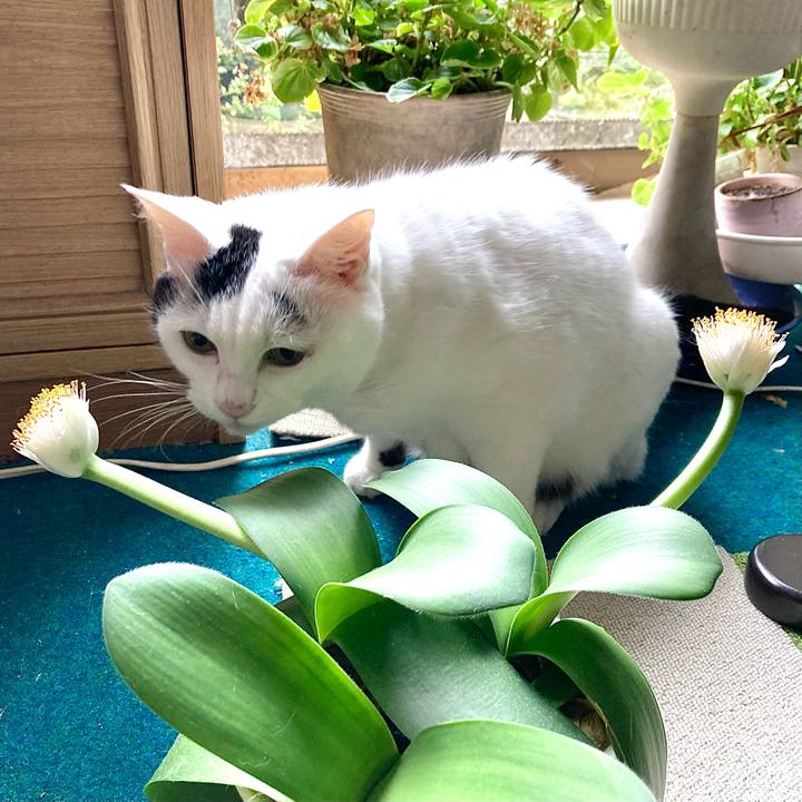 9b5e7072 94a5 4f17 8fc5 ea5e47253551 1665375775465