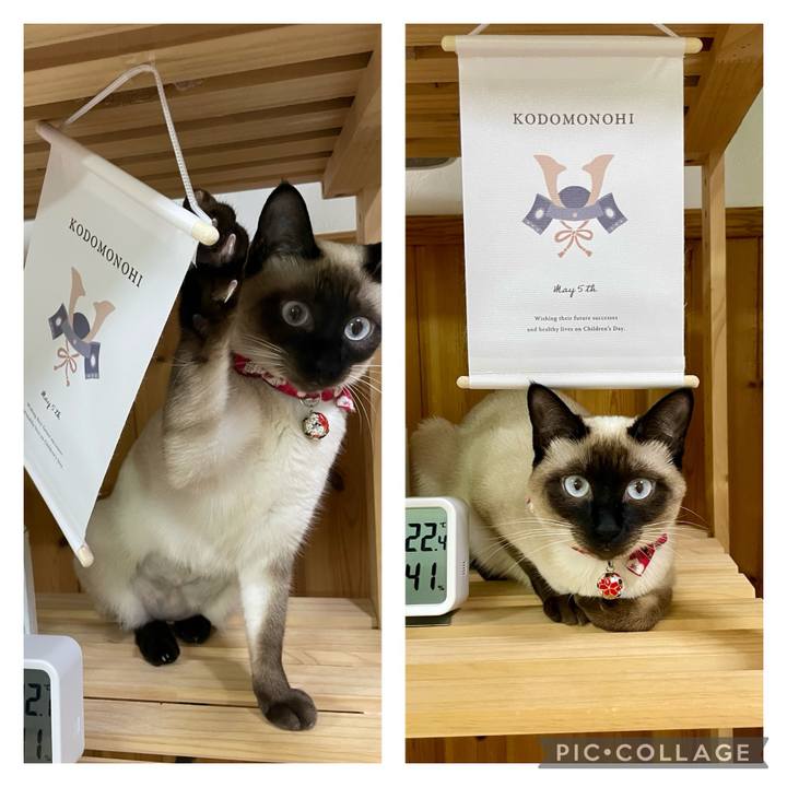 9b5e761f 7f74 4d7f ad5a 65a4b3aaf0fa 1710061386384