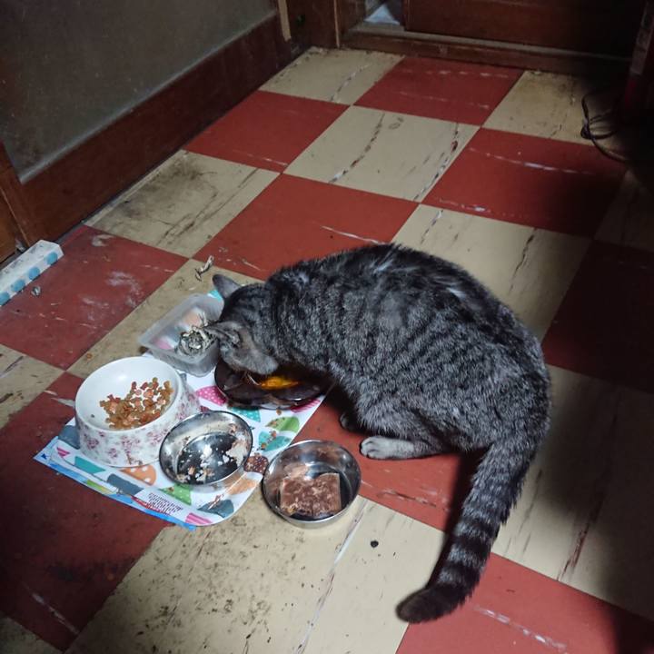 9b5e94fb 555e 400e 971c a1676e9a0b65 1589918155378