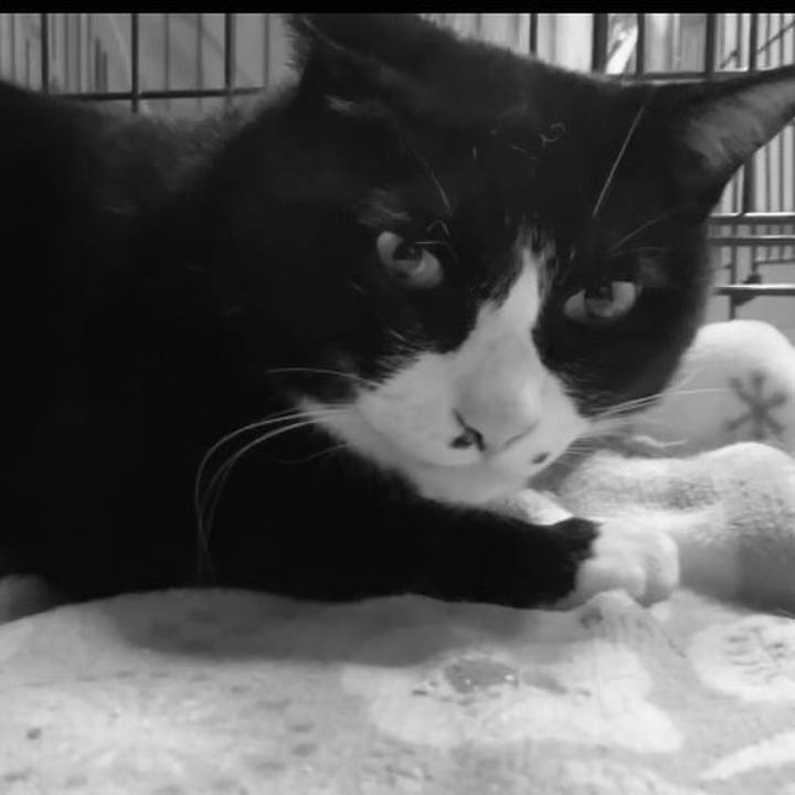 9b5eb87f 9f1e 4592 8b16 f2185e8f6c04 1742032057660