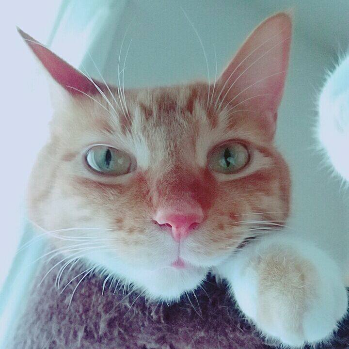 9b5ecb30 5c2c 42b3 a446 f4f945a09e13 1566625583863