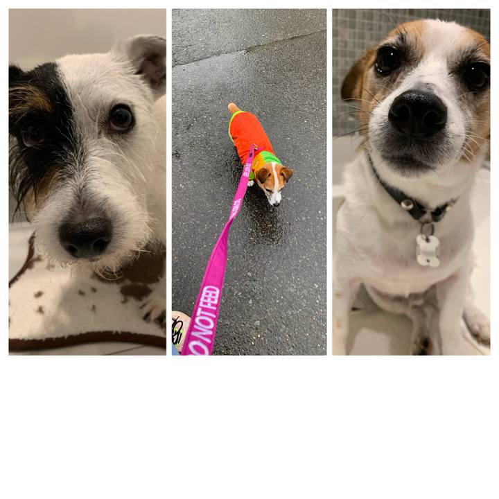 9b5efe2d b346 477e 96f7 7418ca9403e1 1625126044696