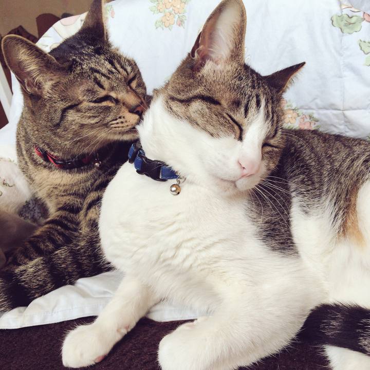 9b5f068a a741 4cc2 b6bb 4cedb7b543e1 1514348434243