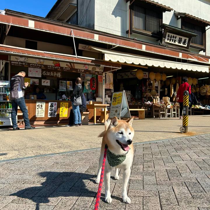 9b5f0e18 e130 4e22 9825 005ff00f160b 1731055346795