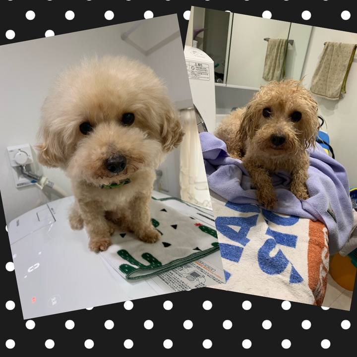 9b5f1604 9524 477c b86c 259aa1746e5d 1579928620572