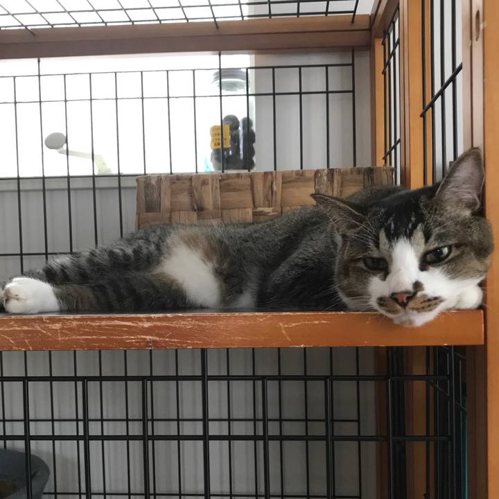 9b5f2240 9a2b 4228 b985 b1bd06f66197 1537320642773