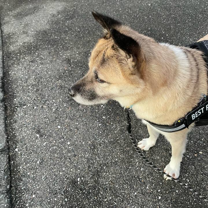 9b5f2b7b a20f 46dd 89e6 ad4d630ac443 1732968020093