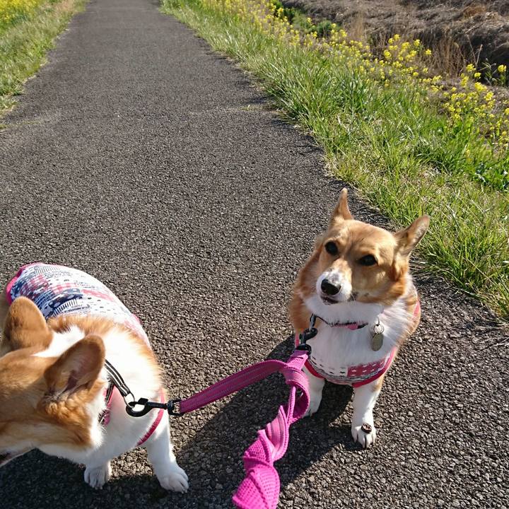 9b5f88e6 9e20 4f8d afe5 c0225b3d87a4 1554289514765