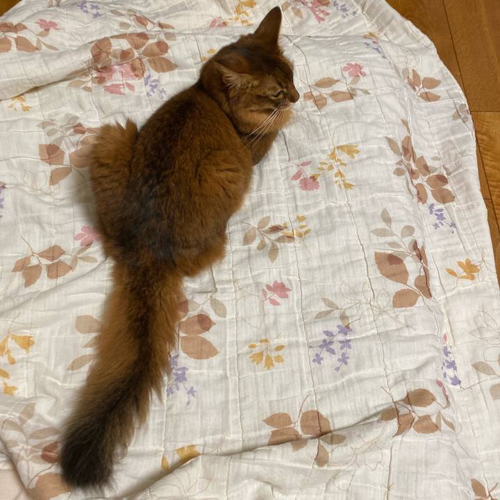 9b5fb2b0 1419 4e8b 9ca1 27bbed68e641 1662945193710