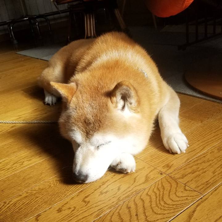 9b5fc0de f8a0 4b8a 9adc 175b6ec271bc 1703039043937