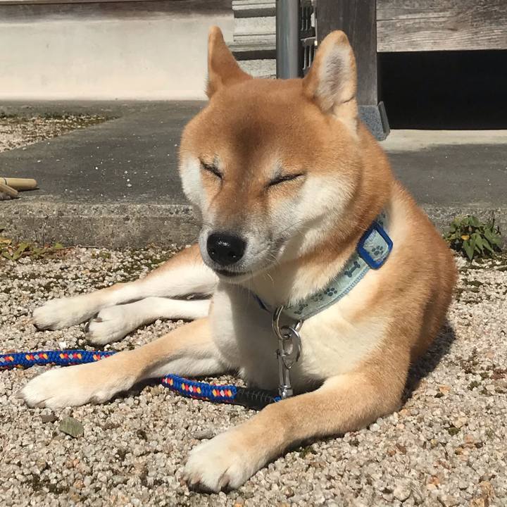 9b5fd7bb 0787 4eea b999 cbc5a3b27e23 1603781741249