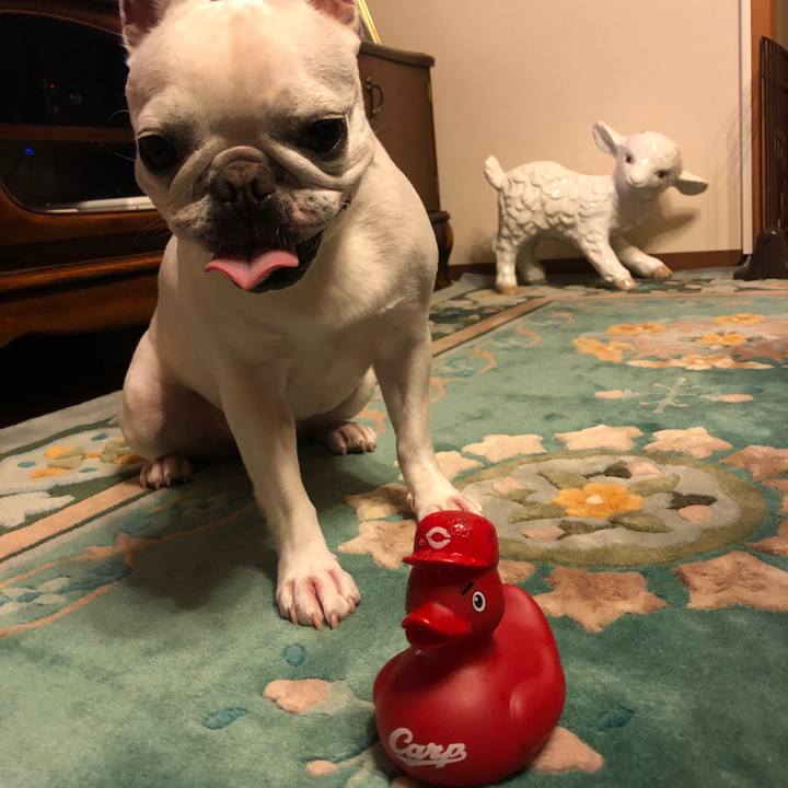 9b601453 68cc 4428 baf7 2cbee42dea72 1537972053846