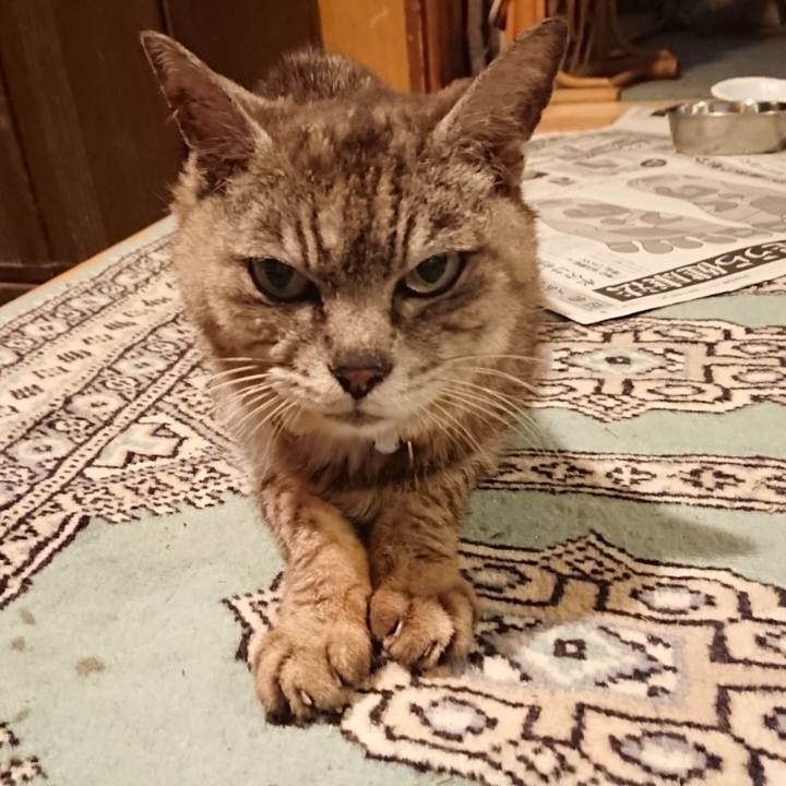 9b601b29 2930 4e68 bf87 e7c92acf4fd2 1598353810613