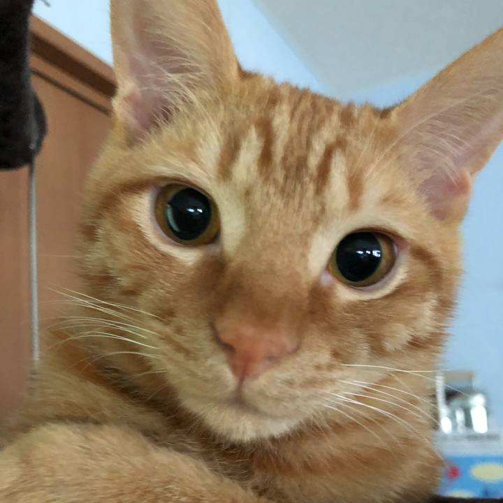 9b602b18 618b 4144 8d84 1e63bad92540 1518615029083