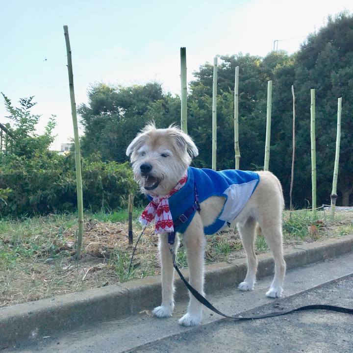 9b60309e 57b0 4d84 b2b7 972f892ac7c5 1597974460817