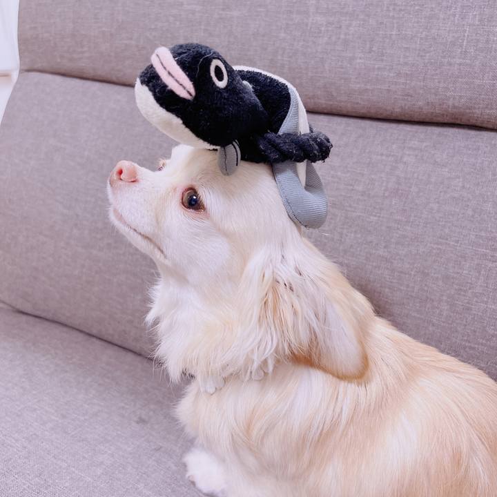 9b6033d7 7a66 4c27 b13f b1e15ac179d0 1680686602386