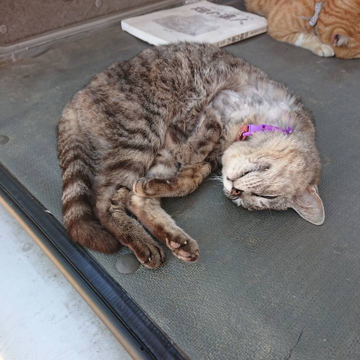 9b604713 dc1d 4fd8 8d19 6e3ab917d8c7 1591510895317