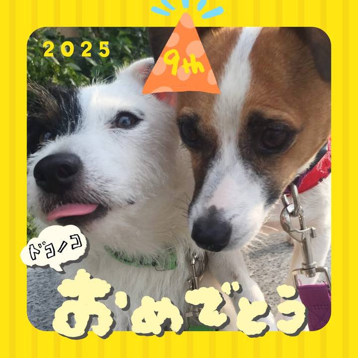 9b608571 fd48 414b b413 67c4a47f67df 1749122207362