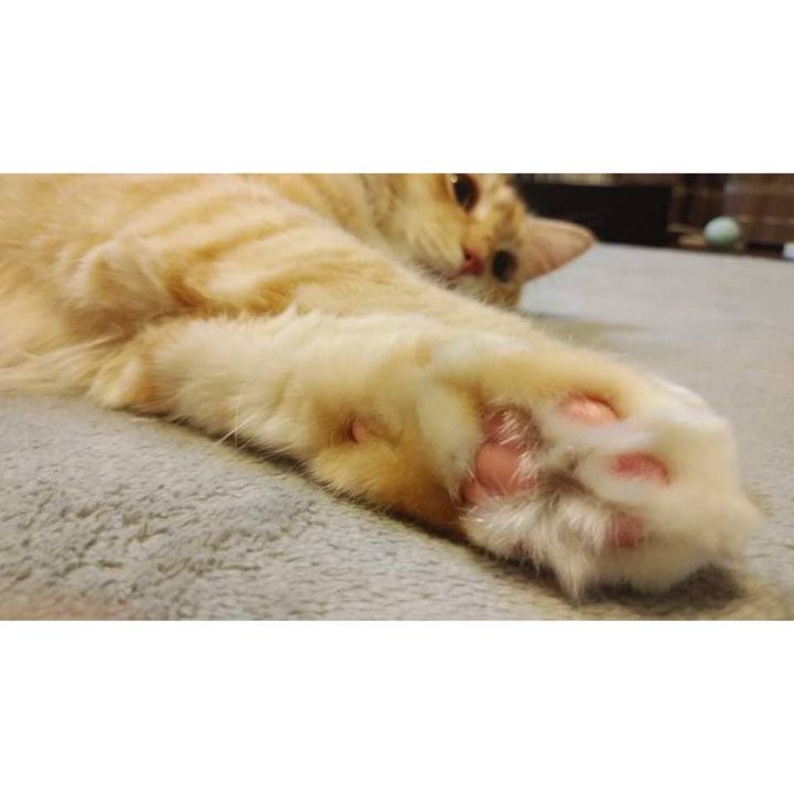 9b60bf41 22f0 40d4 b915 0ae22080df26 1636025851530