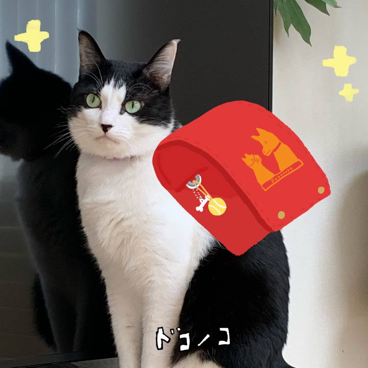 9b60dc10 9463 4104 b62c 74d6a52e9202 1744422509969