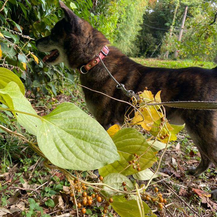 9b60fb17 596b 4bfd 9a7b 8ccd82b6cbff 1635753243288