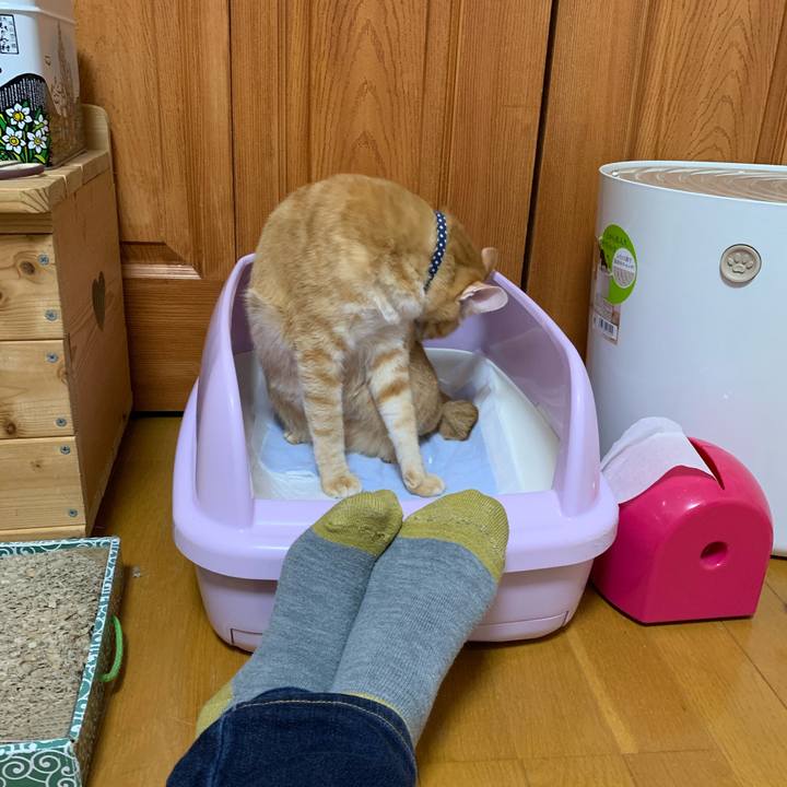 9b6125d4 b930 4a8b ac26 3bd6b313b971 1605012576302