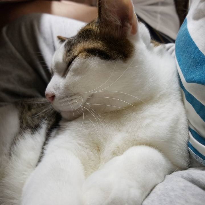 9b6161a7 8abd 4d8d b204 5e5b316167fe 1570017512297