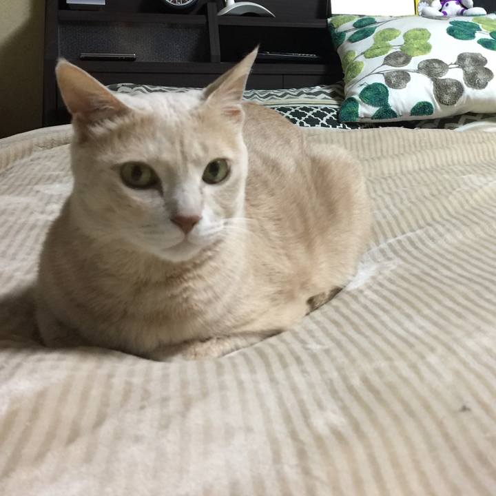 9b616cc2 a49d 4e20 b79d 3134c03639e7 1619039737526