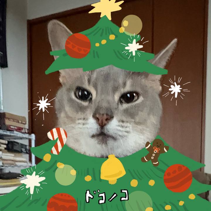 9b616fb8 62d2 4ba1 a8d4 bd361c0f177a 1761566056305