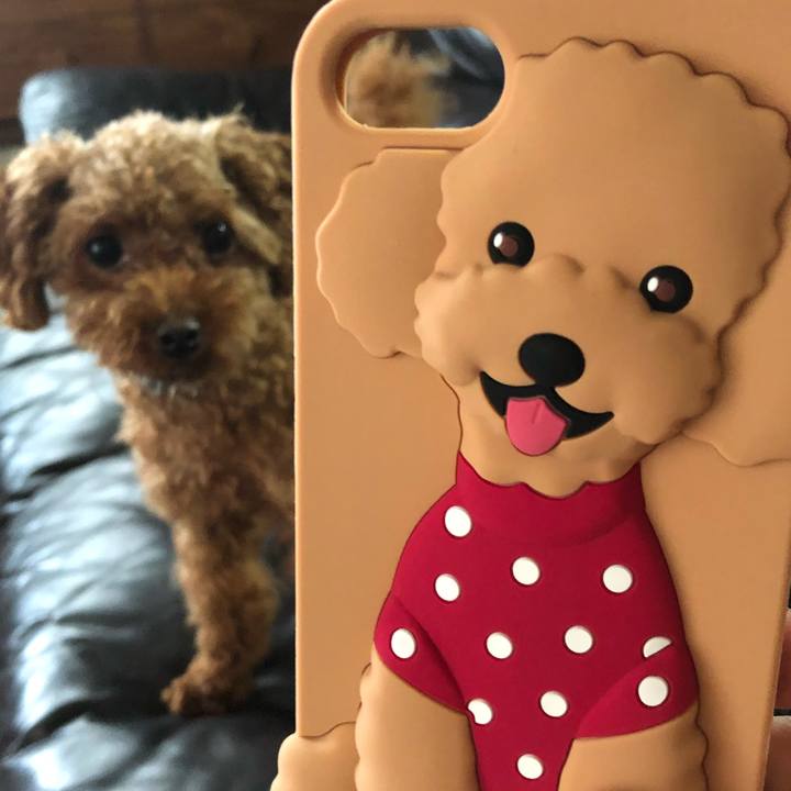 9b6188bf 1a81 434d a4a1 6e1145438fd0 1535614449299