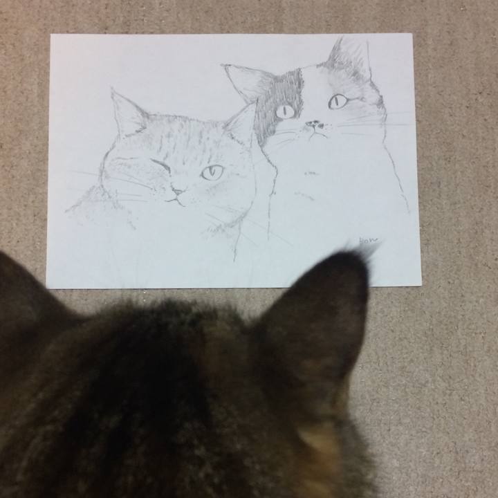 9b6198bb 359f 49a2 8cfe 8688f4855d64 1609676253069