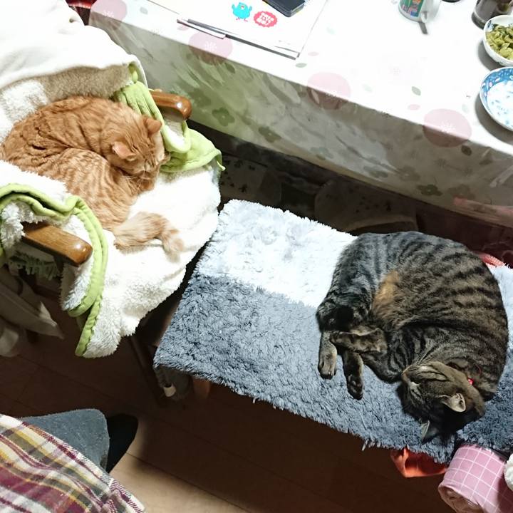 9b61b119 3a47 4314 bd38 e562667ed161 1640944123260