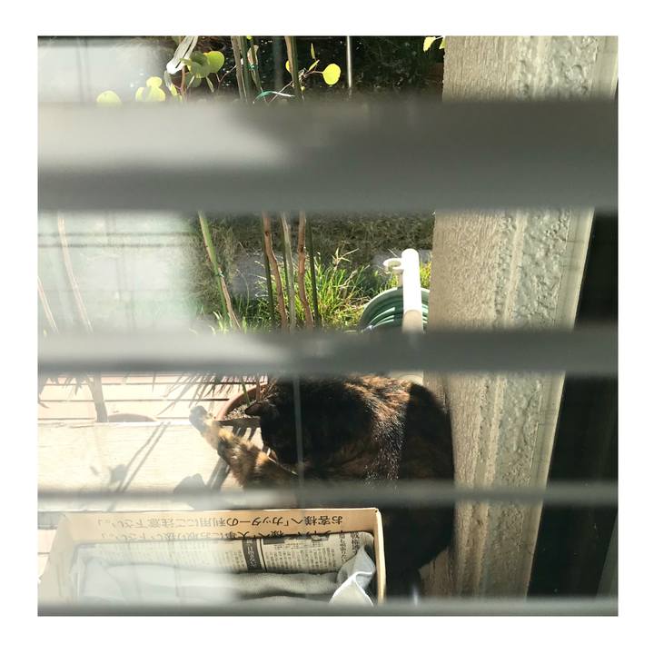 9b61f48d 973f 48a7 ac08 574202249965 1575207358010