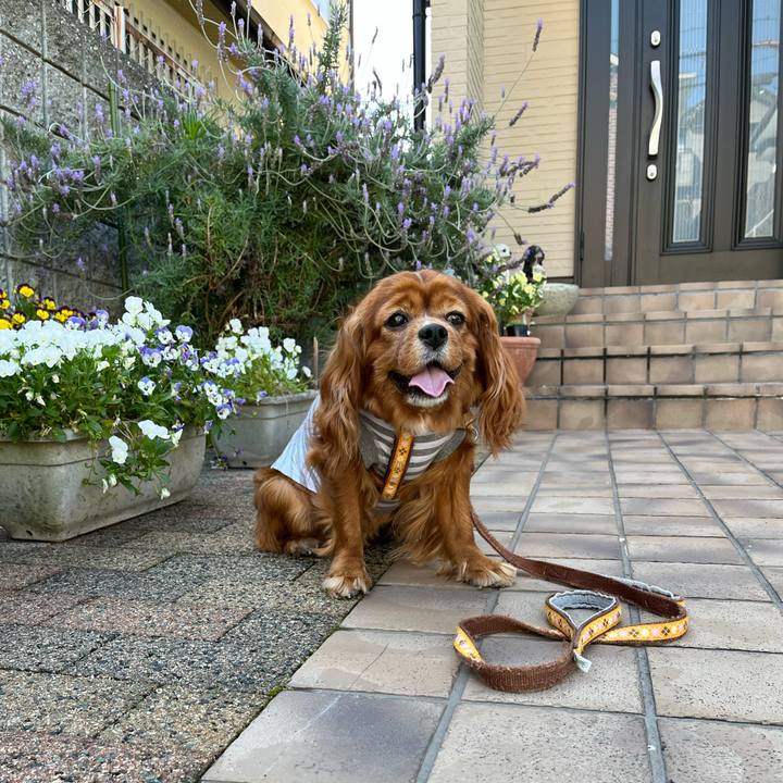 9b6204b2 ee89 4e61 828b cf53496eac2f 1652221799834