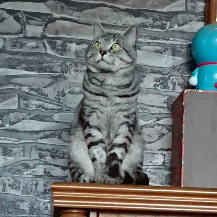 9b627a87 f622 4c68 bc98 dfd4d5c13ba5 1559013016632