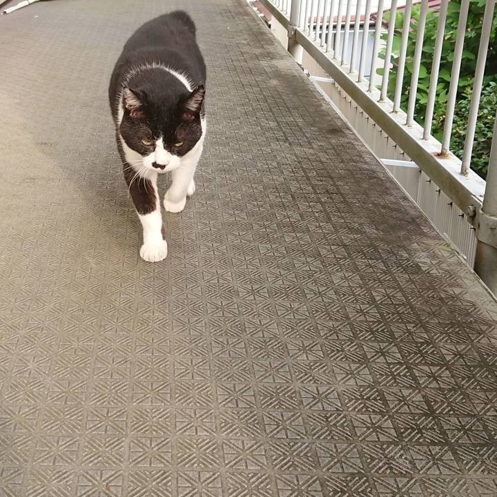 9b62856c 5793 4a2b bde2 5467b11e4d30 1596585332326