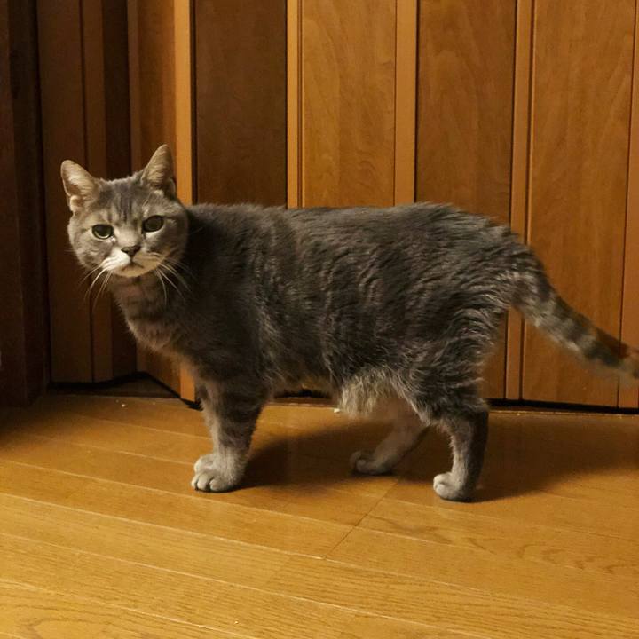 9b628c28 7e6f 446c 8aff 3e2bc48f8383 1520696019735