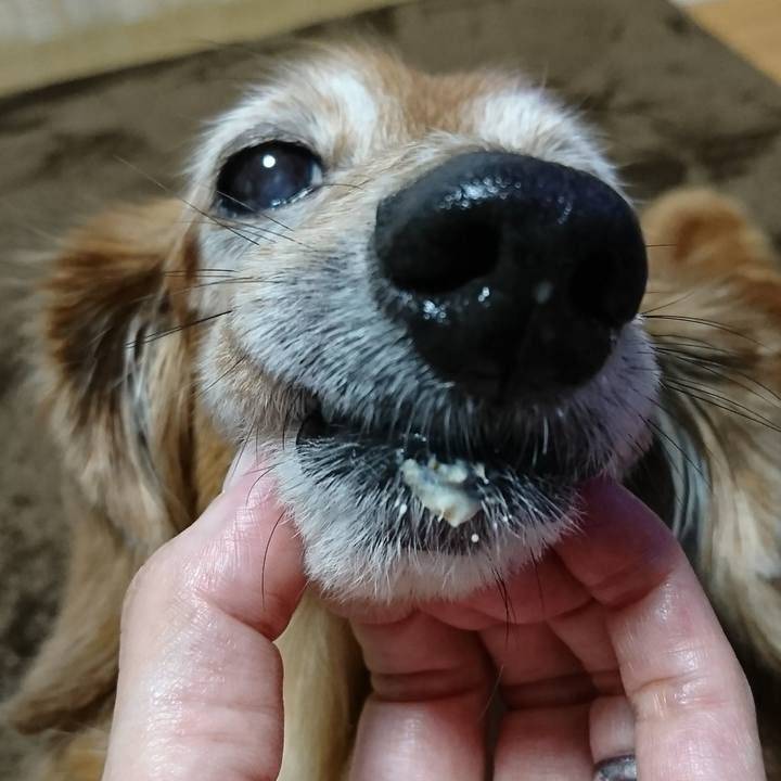 9b629351 6262 422b ae32 504f6fc690b8 1510373443367