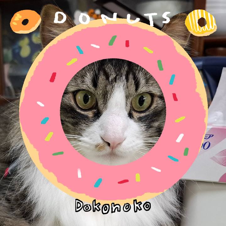 9b62a68f 6b84 46cd 8d7b 322ac8a162d1 1744353601625