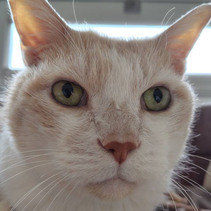 9b62bb2f 98dd 49d3 b55a 58d69966e1c2 1741905015167