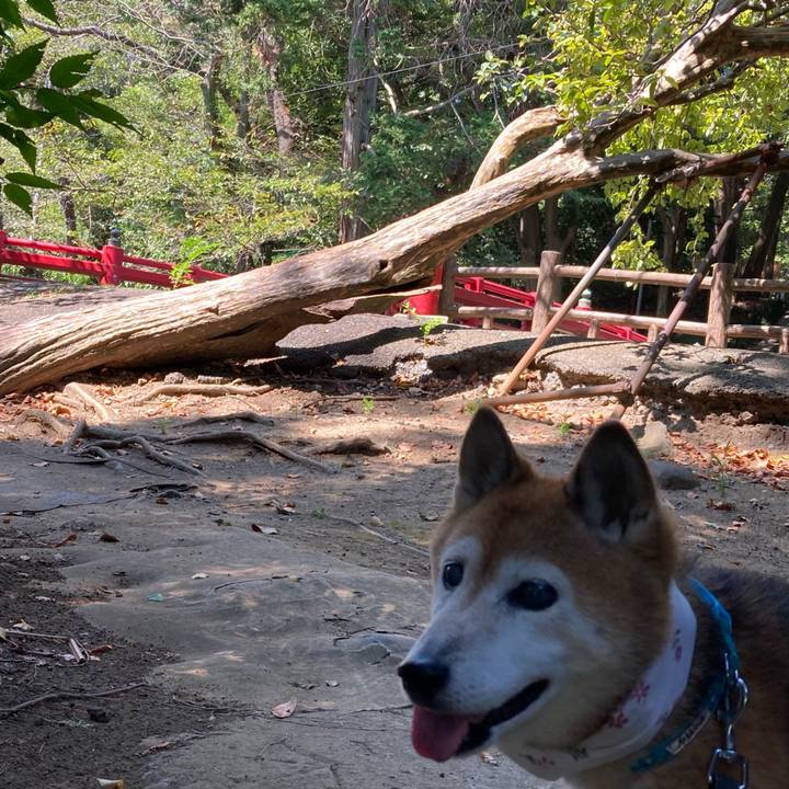 9b62cda2 8cfd 4862 8971 cf3a4cb1159b 1756879029216