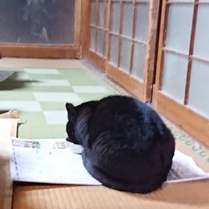 9b62db74 8416 455b a1fc d8d209421a19 1614595193904