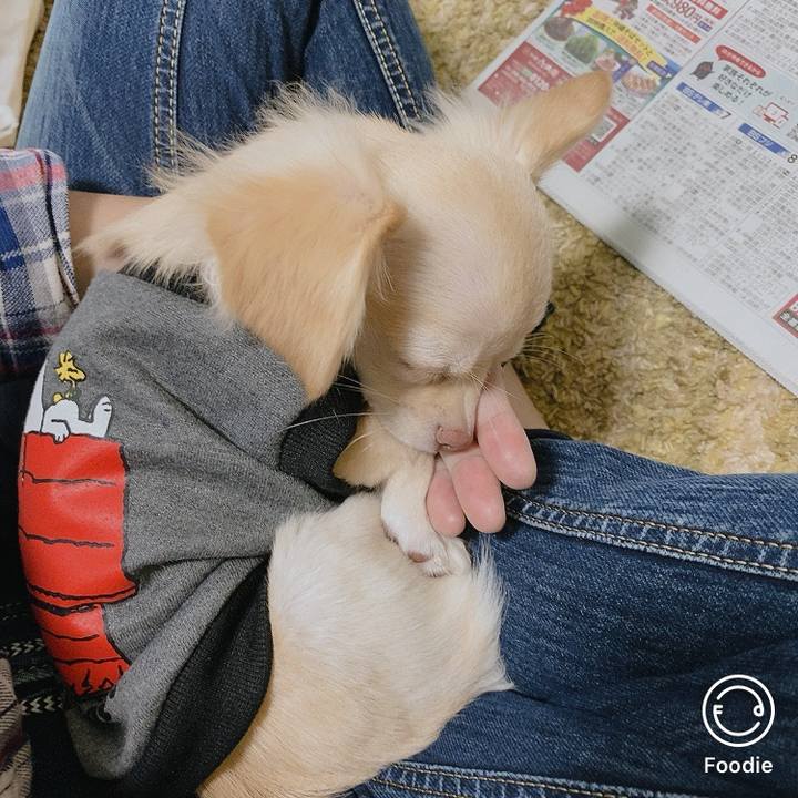 9b62ea65 b27b 491a a9e6 86fb9075241e 1600397156079