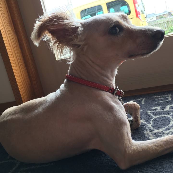 9b6310cd cf49 42a2 ae48 6e554b51114f 1530502916002