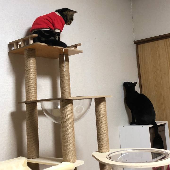 9b63294f 5a80 499c 8276 4634129eff2c 1740488732370