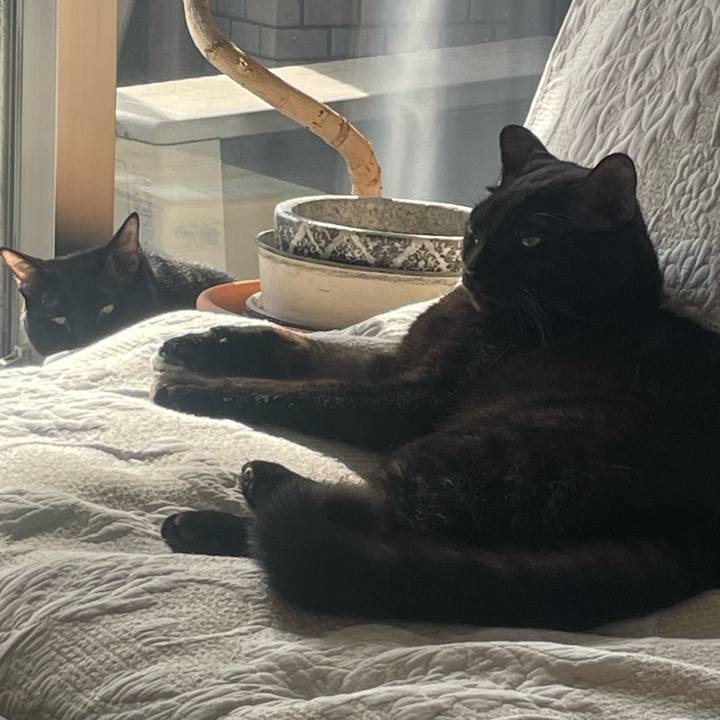 9b6332d3 02f7 4875 9896 356d3a9cff6c 1771463183502