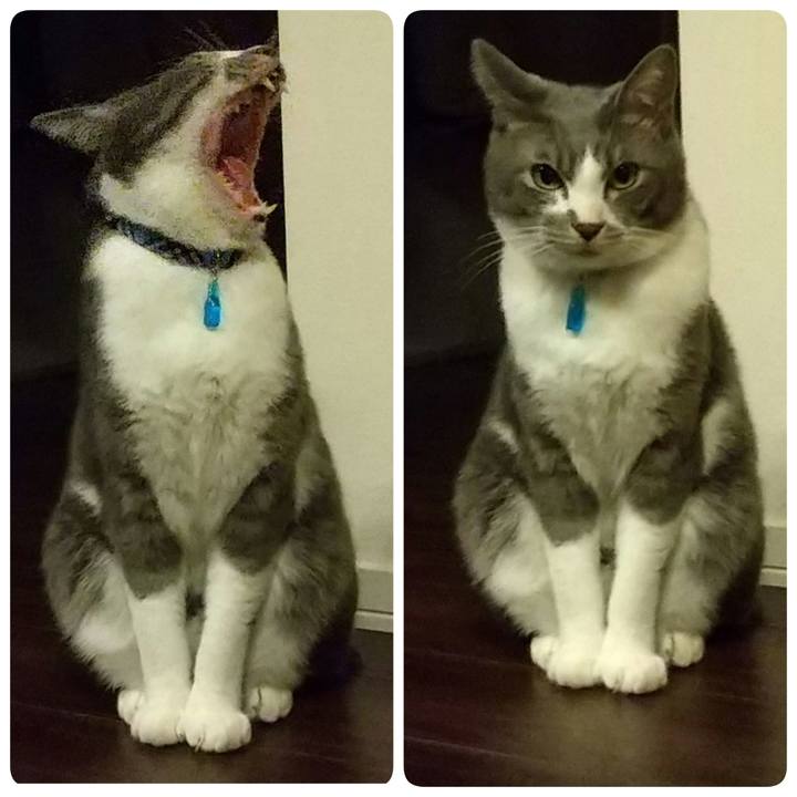 9b63896c a6a6 4005 9668 0127efa9a2c5 1616063621886