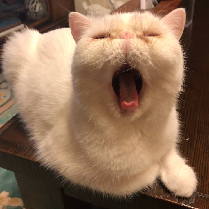 9b63898d aeea 426c bd92 1df7337b233e 1660739131588